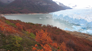 National Park Los Glaciares