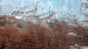 Природа ледники Калафате